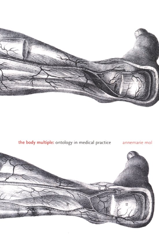 Body Multiple - cover