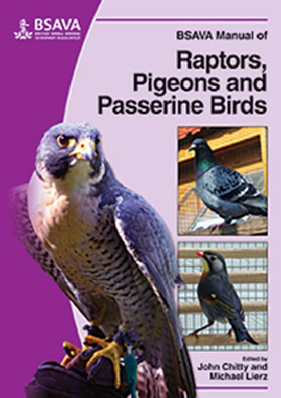Bsava Manual Of Raptors, Pigeons And Passerine Birds - cover