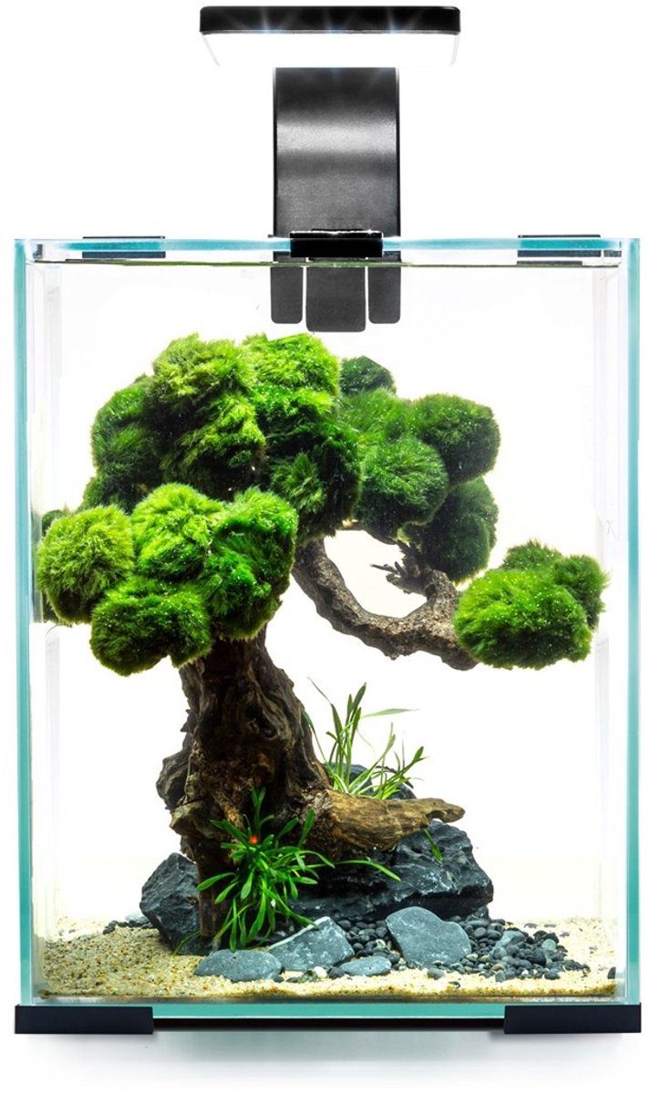 Aquael Shrimp Set Dag & Nacht 10 | 10L | 20 x 20 x 25CM Zwart