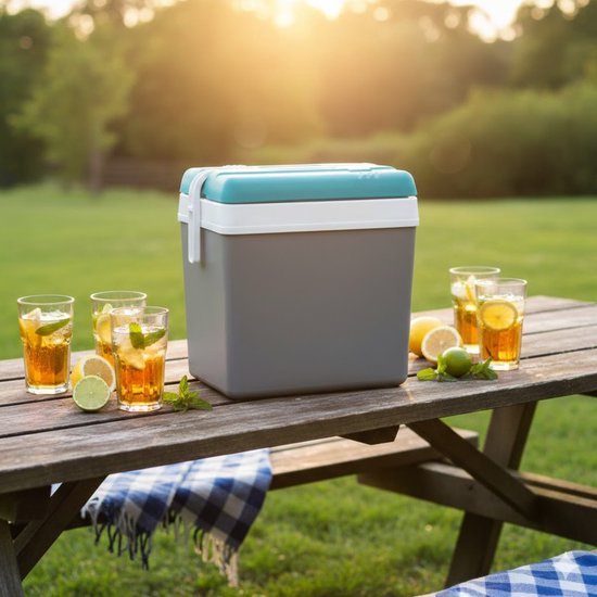 EDA Promotion koelbox - 24 liter - kunststof - grijs - 41 x 27 x 40 van Merkloos — afbeelding 3