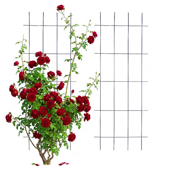 Klimrek - 2 stuks - 45x115 cm - zwart