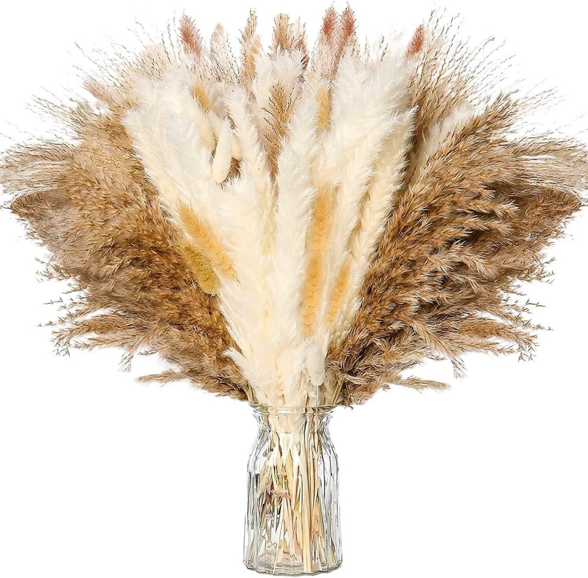 Gedroogd Pampasgras Boeket - Natuurlijke Siergrassen - Home Decoratie - 110 Stuks Mix - Niet Gespecificeerd - Natuurlijke Tinten