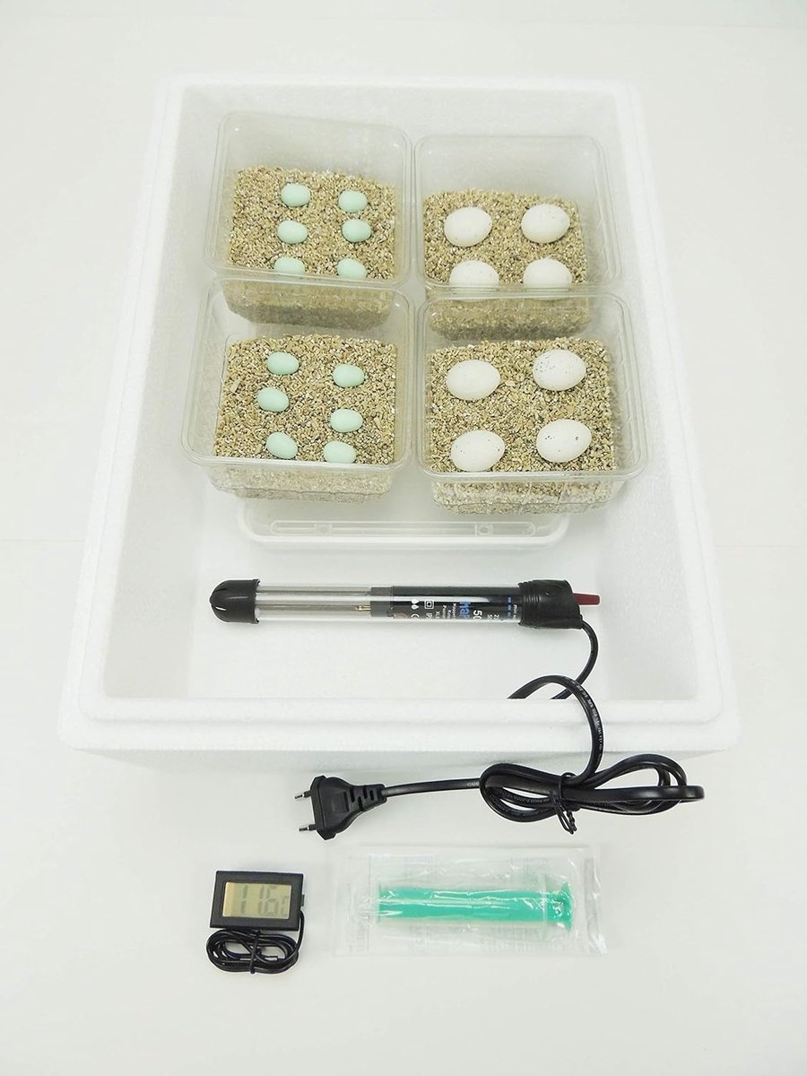 Reptielen Broedmachine - Broedkast Incubator - Kunstbroed Eieren - Hoge Uitkomstpercentages - 30x25x25cm