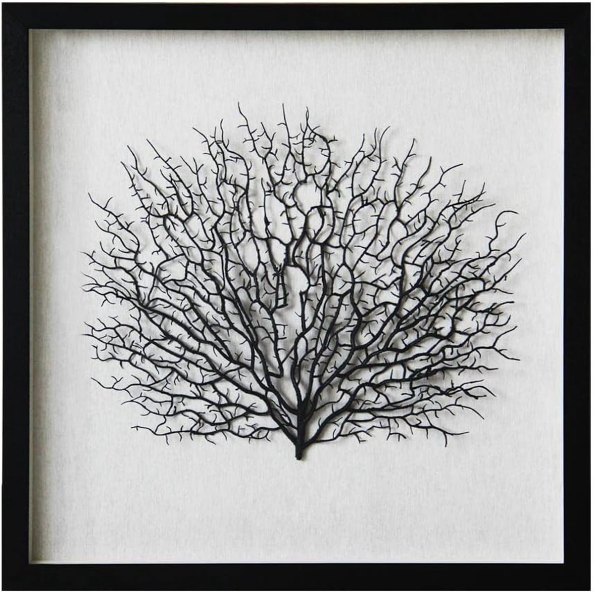 Wanddecoratie Zee Fan - Abstract Kunst - Woonkamer Decoratie - Eco-vriendelijk Ontwerp - 60x60 cm - Zwart Wit