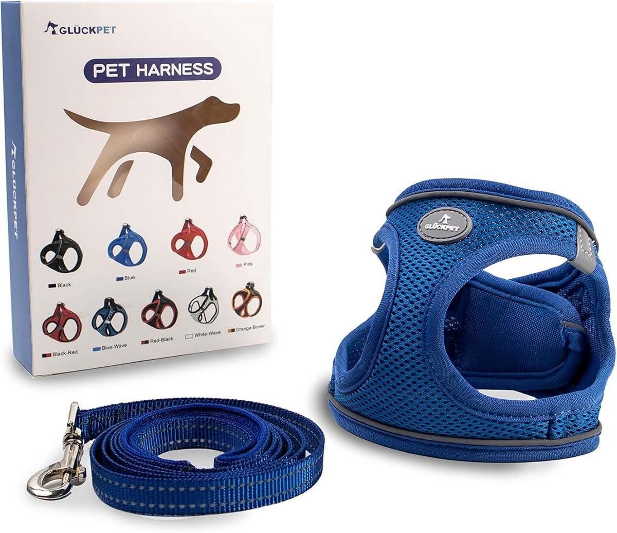 Honden Tuigje - Hondenriem Set - Veilig Wandelen - Ademend Materiaal - Maat S - Blauw