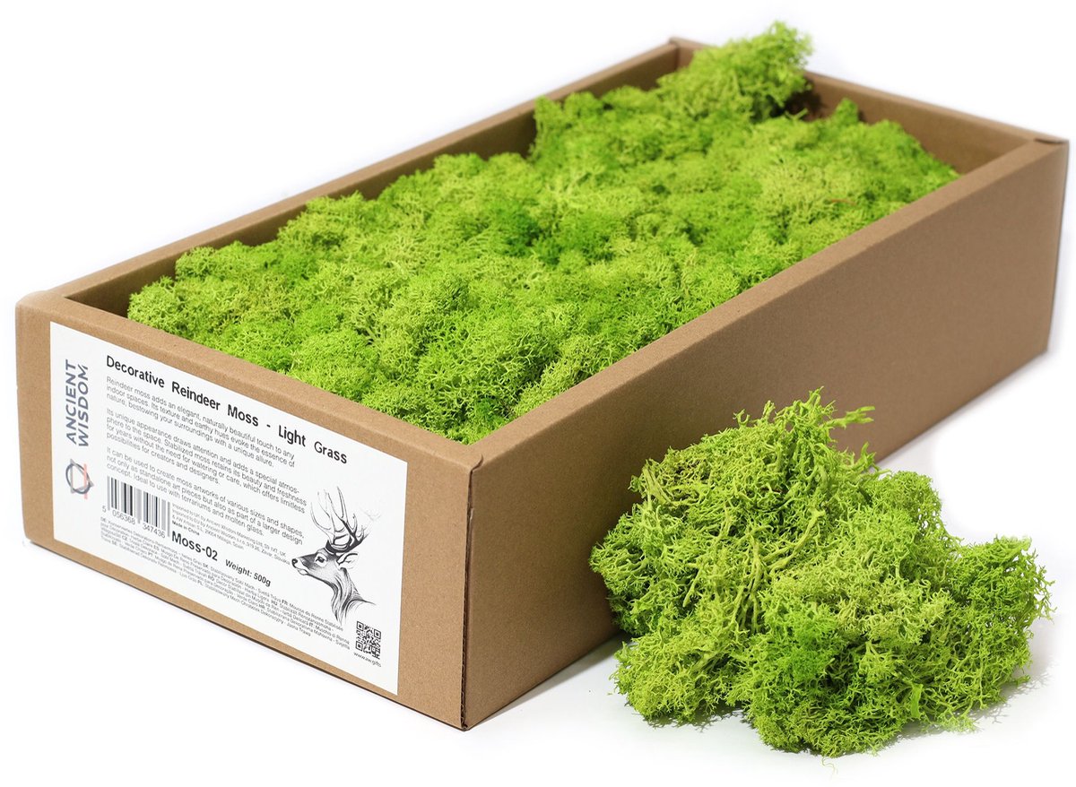 Rendiermos - Light Grass - 635g Box