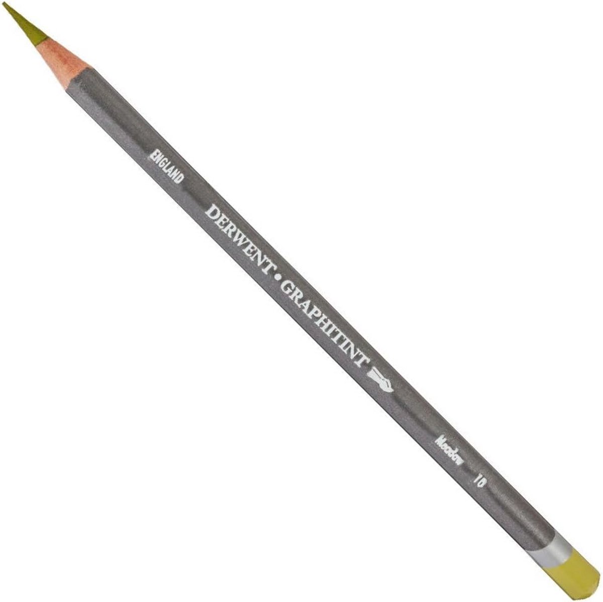 Graphietint Aquarelpenselen Set van 10 Stuks in Weidekleur