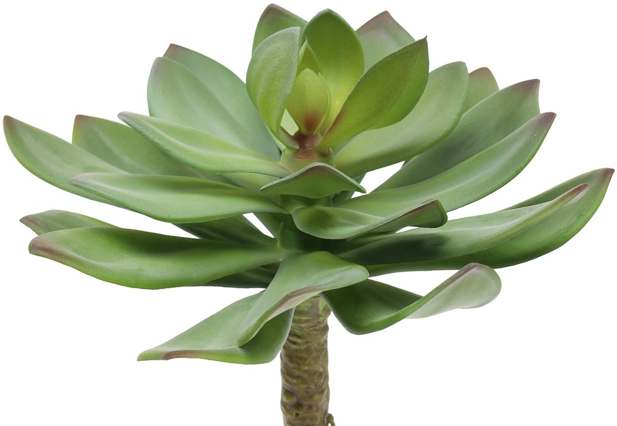 Viana Kunst vetplant groen 27cm groente