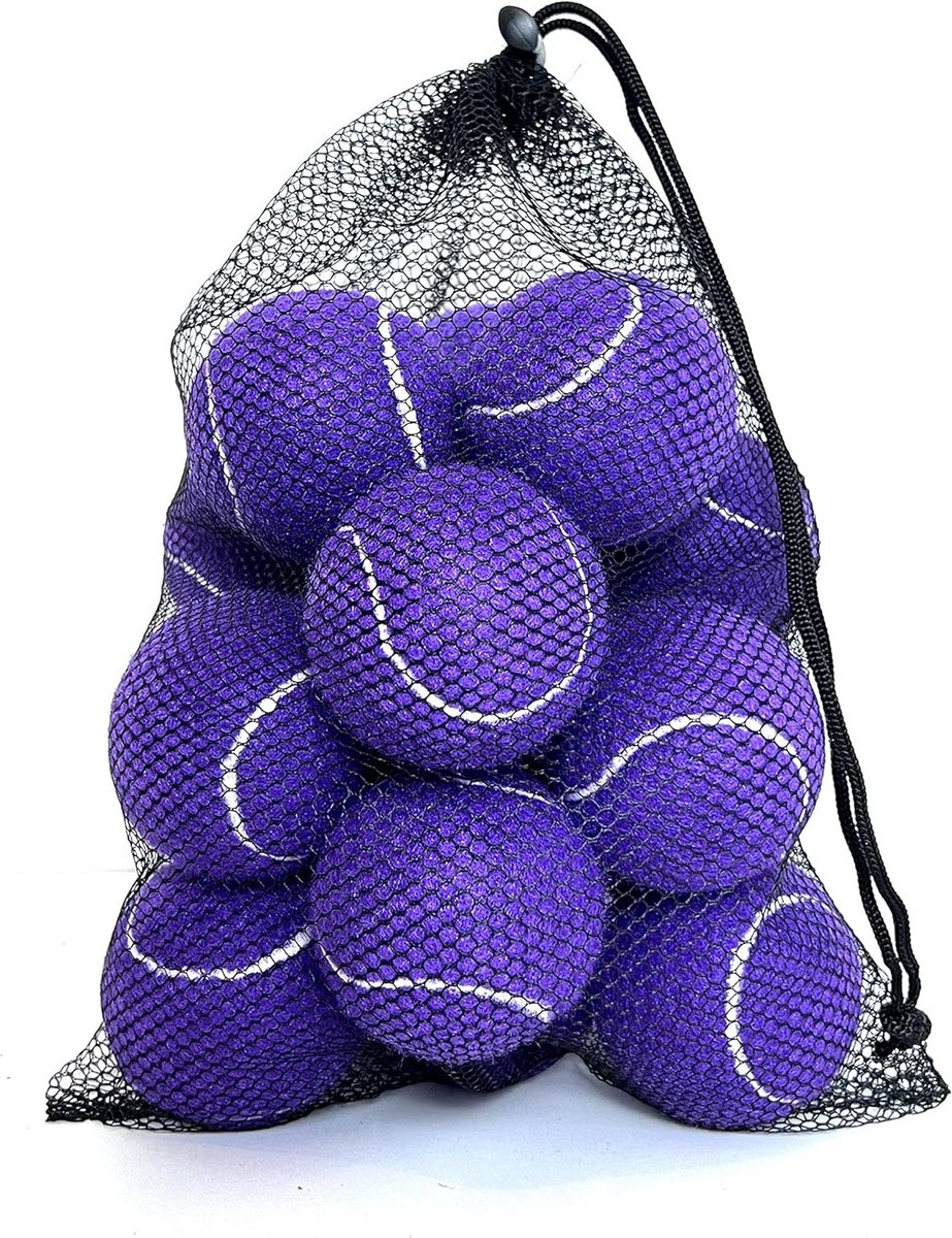 Trainings- en Oefentennisballen voor Beginners en Hondenspeelgoed - 15 stuks met Draagtas