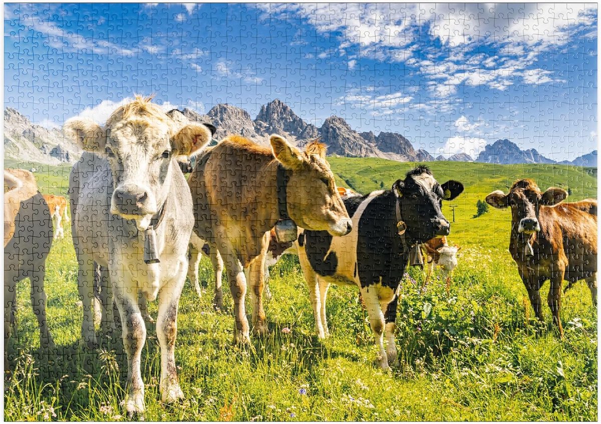 1000-Delige Puzzel Alpenlandschap met Koeien - Premium Legpuzzel
