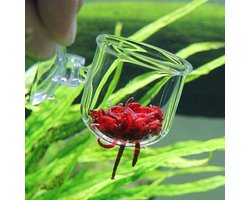 Allecto - Visvoeder - Aquaria - Glas - Aquarium - Voeding - Rode Worm - Garnalen - Live - Pekel - Zuignap - Plant Cup - 2 stuks - Geschikt voor