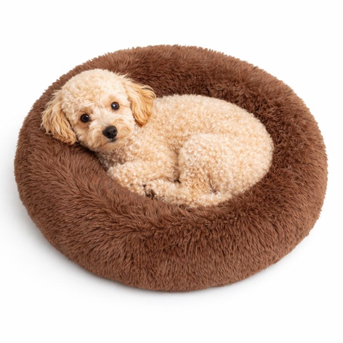 Bol.com Dailyibed hondenmand - donut - hondenkussen - hondenbed - XXL - 80x80x16 cm - Bruin aanbieding