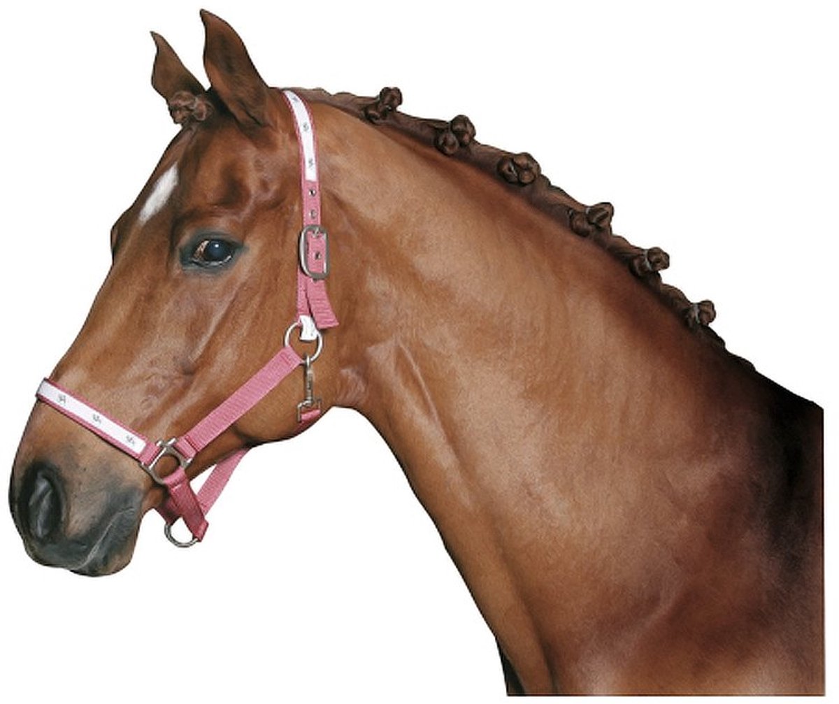 Manenrubber Set - Paarden Elastiekjes - Paarden Vlechten - 800 Stuks Per Doos - Standaard Maat - Zwart