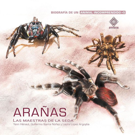 Arañas, las maestras de la seda - cover