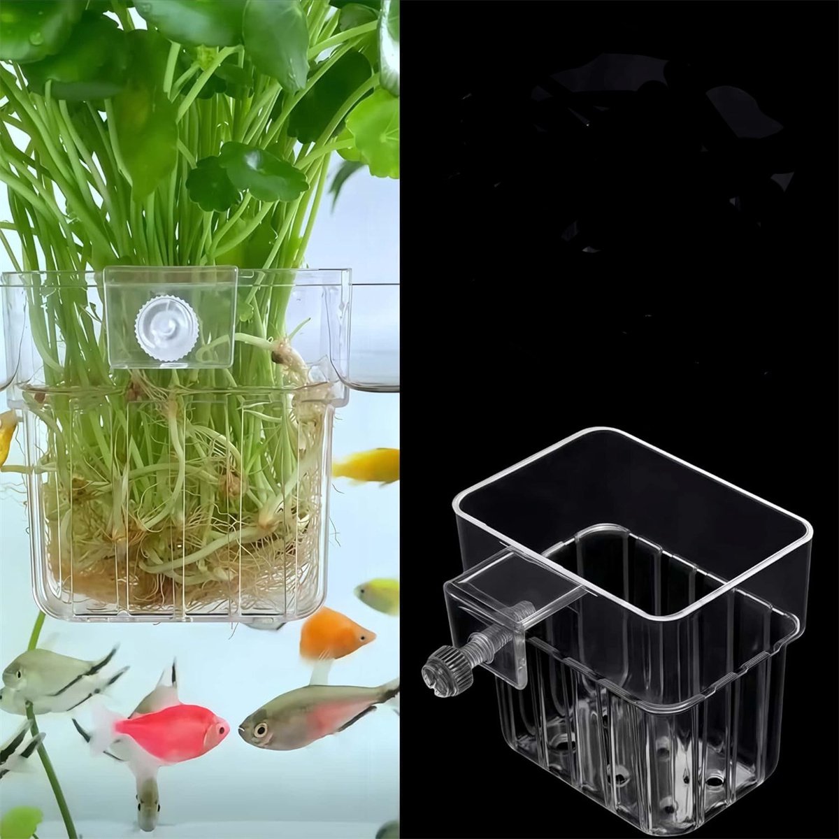 QTTVBTNA -Aquarium Plant Holder - Hanging Plant Clip - Adjustable Screw And Hook Mounting - Transparent ABS - For Floating And Hanging Aquatic Plants - 1 Pieces