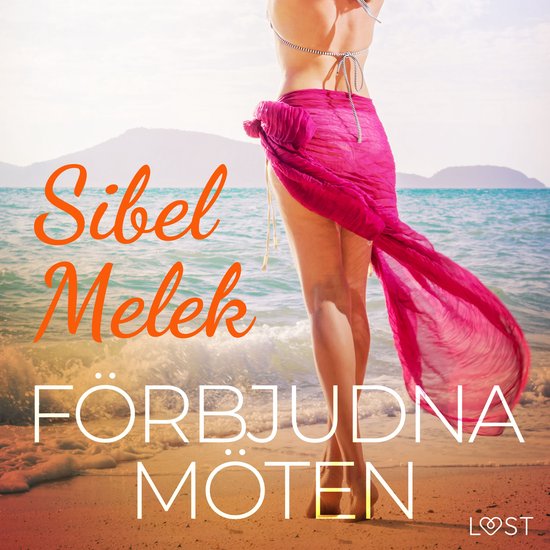 Förbjudna möten - erotisk novell - cover