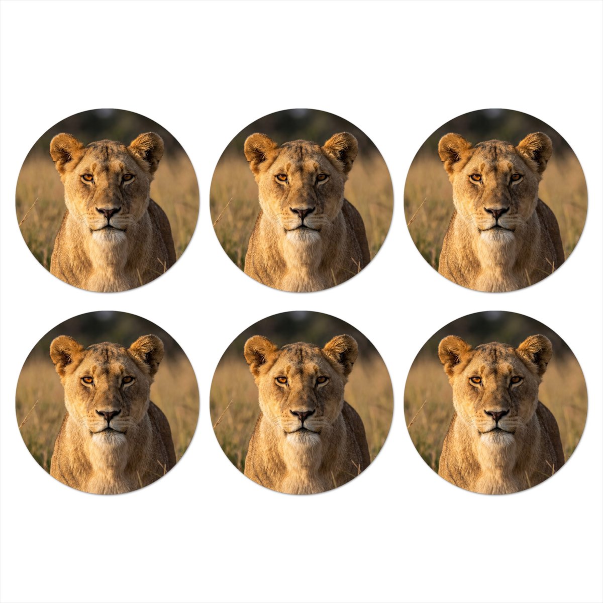 Onderzetters voor glazen - Rond - Leeuwin - Gras - Geel - 10x10 cm - Glasonderzetters - 6 stuks