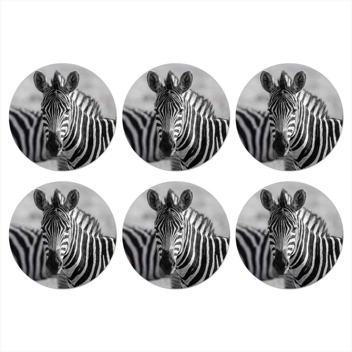 Onderzetters voor glazen - Rond - Zebra's - Zwart - Wit - 10x10 cm - Glasonderzetters - 6 stuks