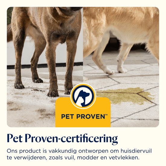 Twee honden bij een vlek op een vloerkleed, met een 'Pet Proven™' logo met een hond en kat.