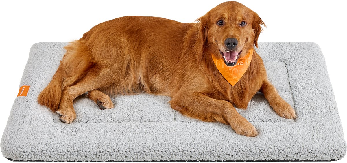 Feandrea - Hondendeken - Huisdierdeken voor Honden en Katten - Wasbaar - Antislip