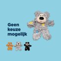 Grijze teddybeer met blauwe en gele patches. "Geen keuze mogelijk". Kleine cirkels tonen bruine, grijze en zwarte beren.
