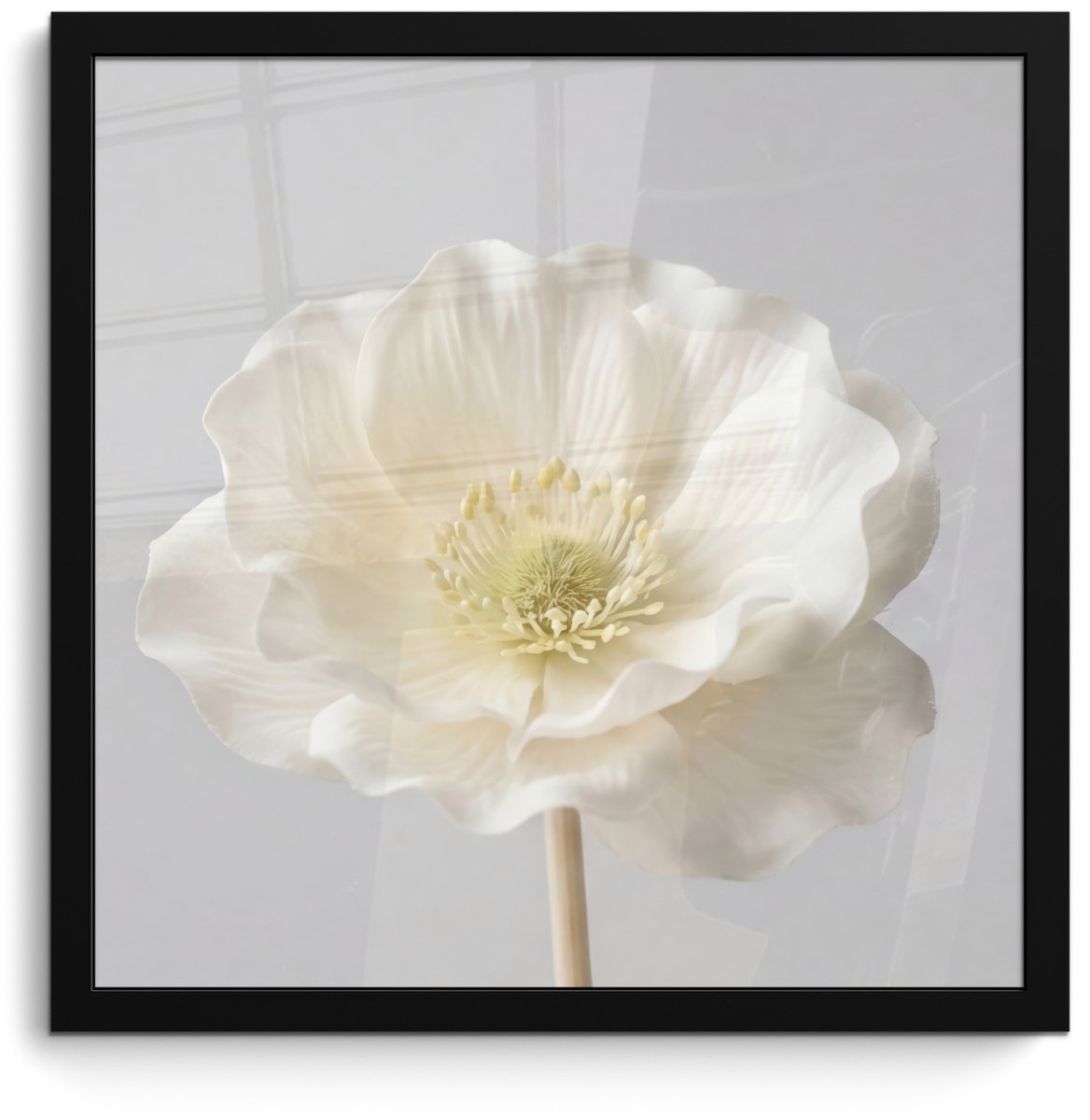 FrameYourWall Poster in lijst - Fotolijst 40x40 cm - Posters - Bloem - Minimalistisch -Wit - Posterlijst zwart - Decoratie - Wanddecoratie woonkamer - Muurdecoratie slaapkamer