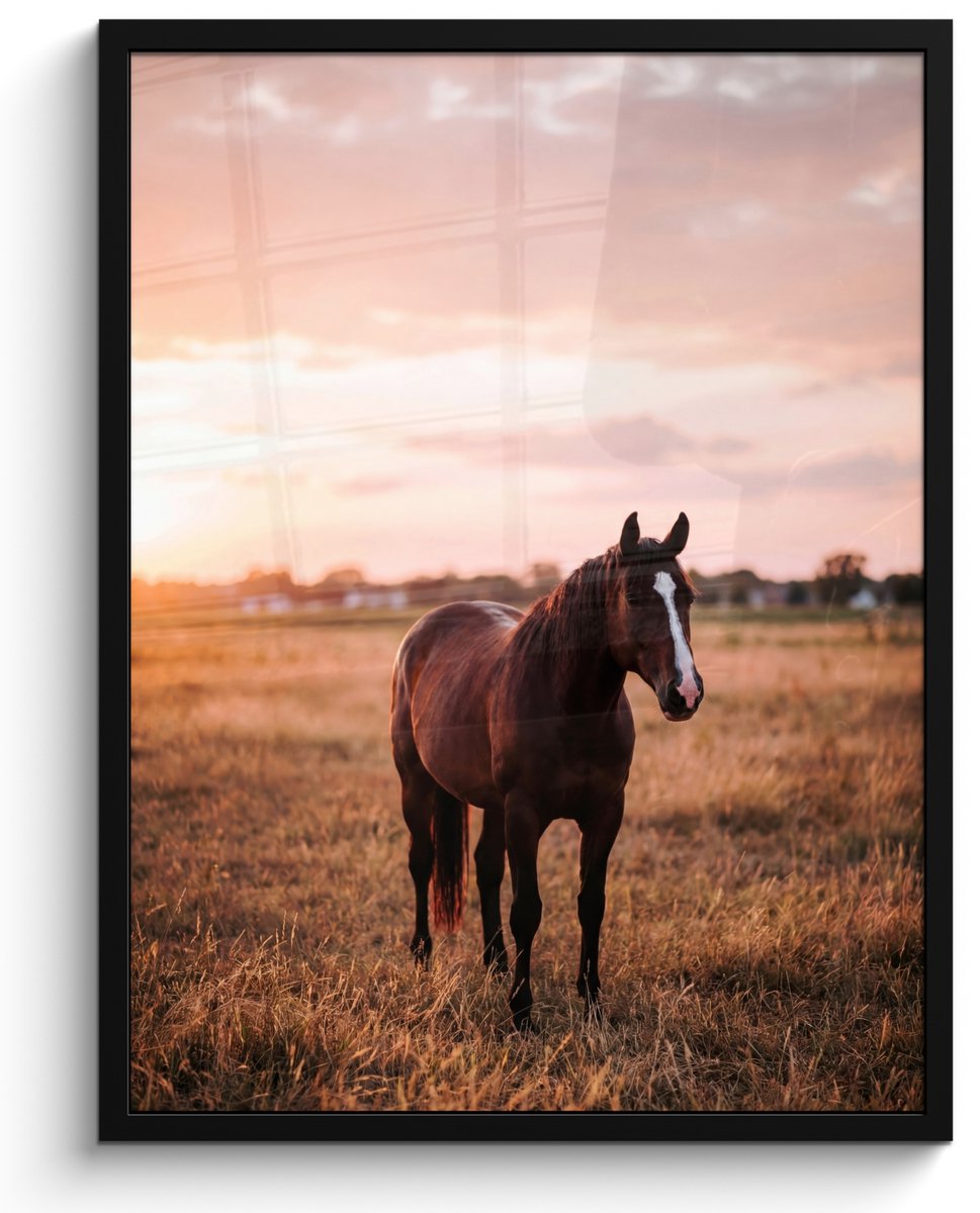 FrameYourWall Poster in lijst - Fotolijst 50x70 cm - Posters - Paard - Zonsondergang - Bruin - Posterlijst zwart - Decoratie - Wanddecoratie woonkamer - Muurdecoratie slaapkamer Multicolor