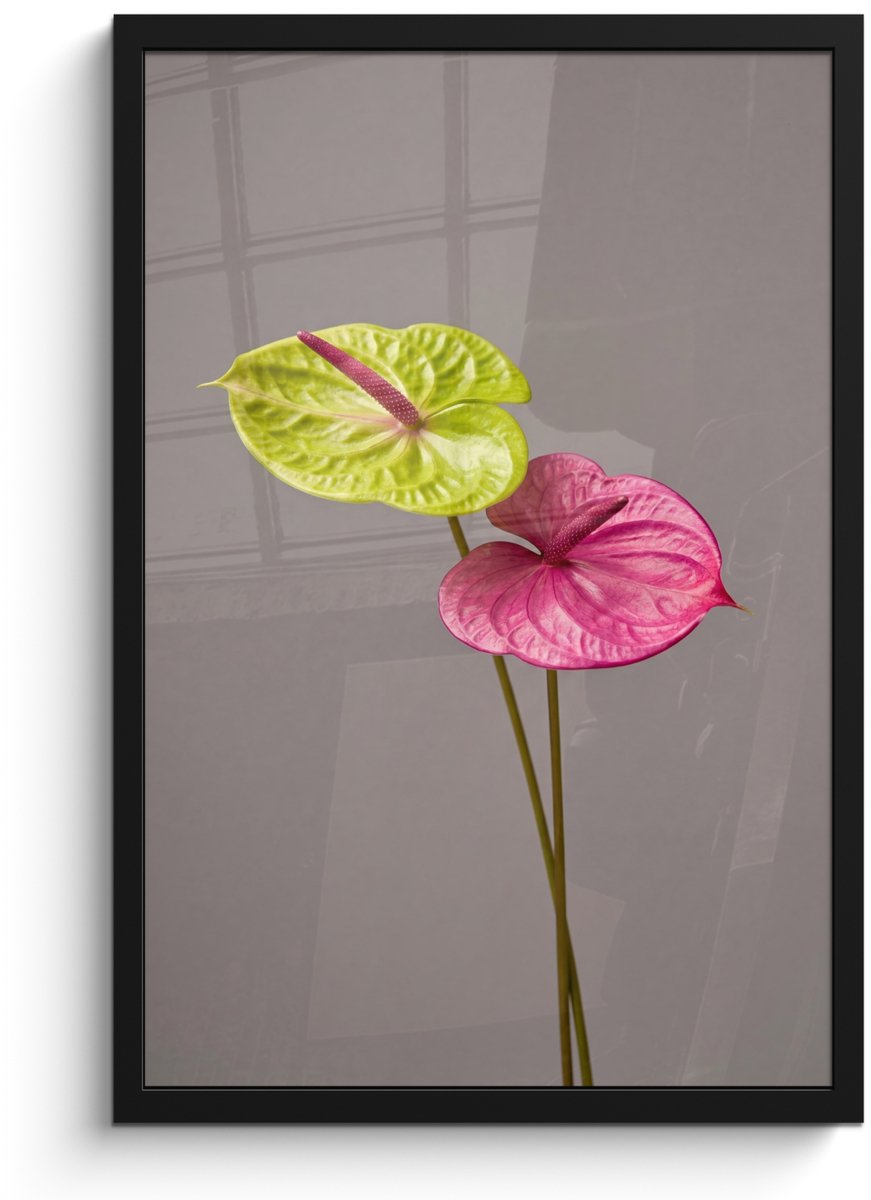 FrameYourWall Poster in lijst - Fotolijst 40x60 cm - Posters - Planten - Anthurium - Groen - Roze - Posterlijst zwart - Decoratie - Wanddecoratie woonkamer - Muurdecoratie slaapkamer