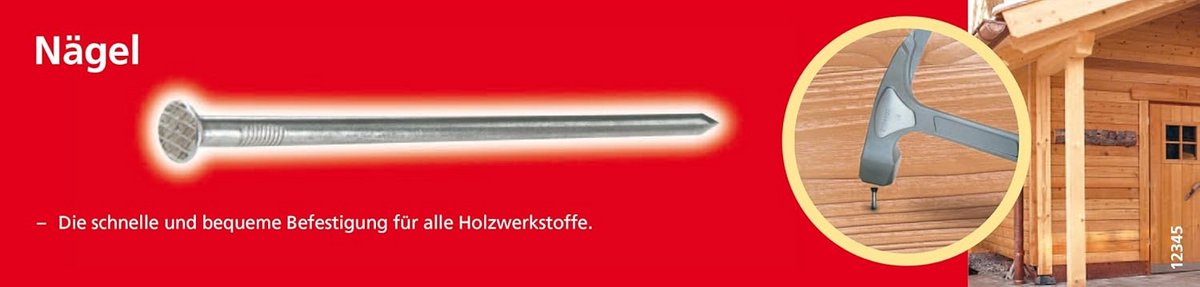 Verzonken Kop Draadstiften 2,8 x 60 mm voor Houtconstructies