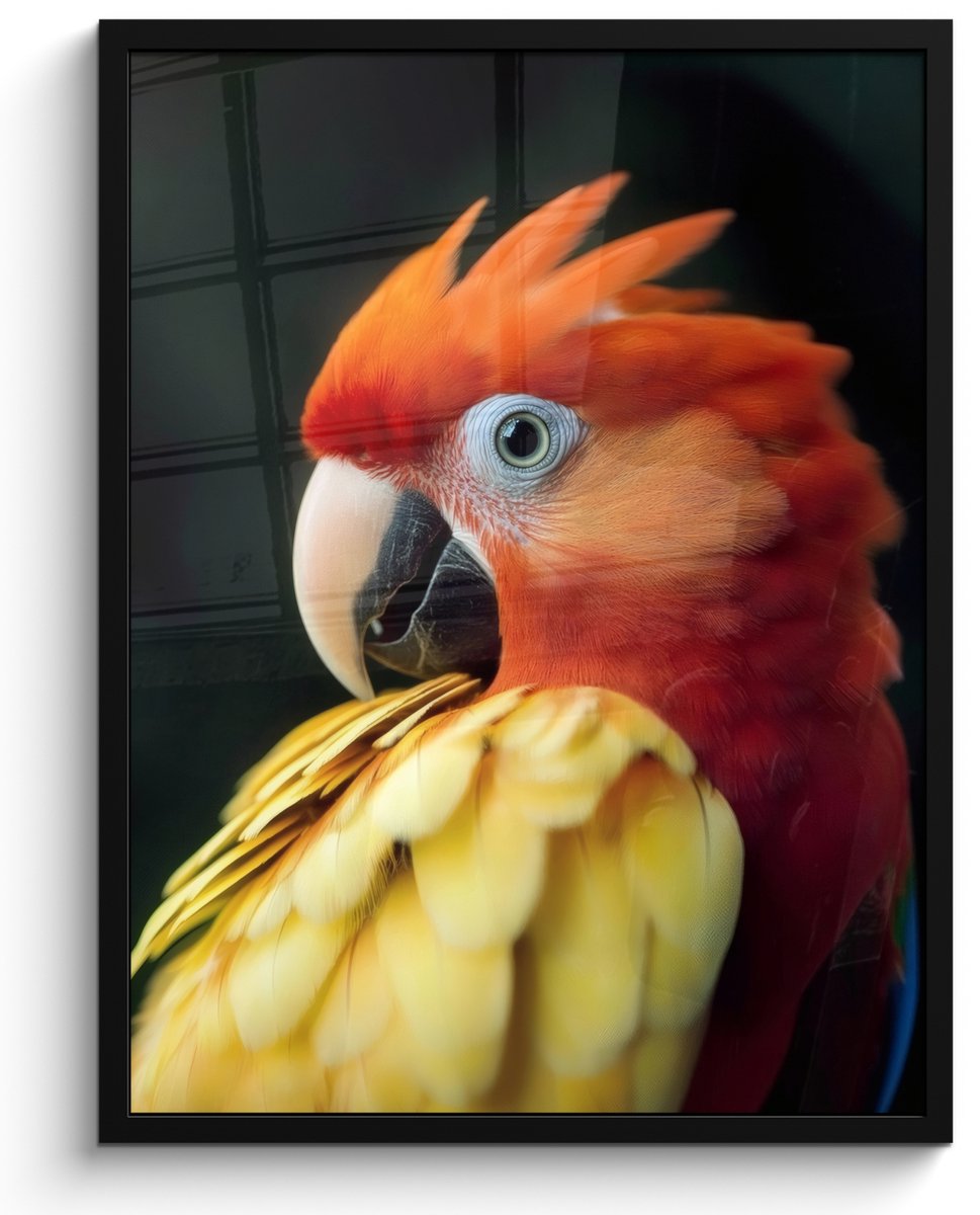 FrameYourWall Poster in lijst - Fotolijst 50x70 cm - Posters - Close-up - Papegaai - Veren - Oranje - Posterlijst zwart - Decoratie - Wanddecoratie woonkamer - Muurdecoratie slaapkamer