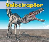 All About Dinosaurs - Velociraptor