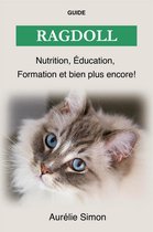 Ragdoll - Nutrition, Éducation, Formation