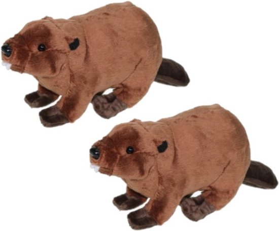 Twee pluche knuffel bevers