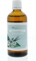 Balance Pharma Gemmoplex Hgp026 Gewichtslymf - 100 ml