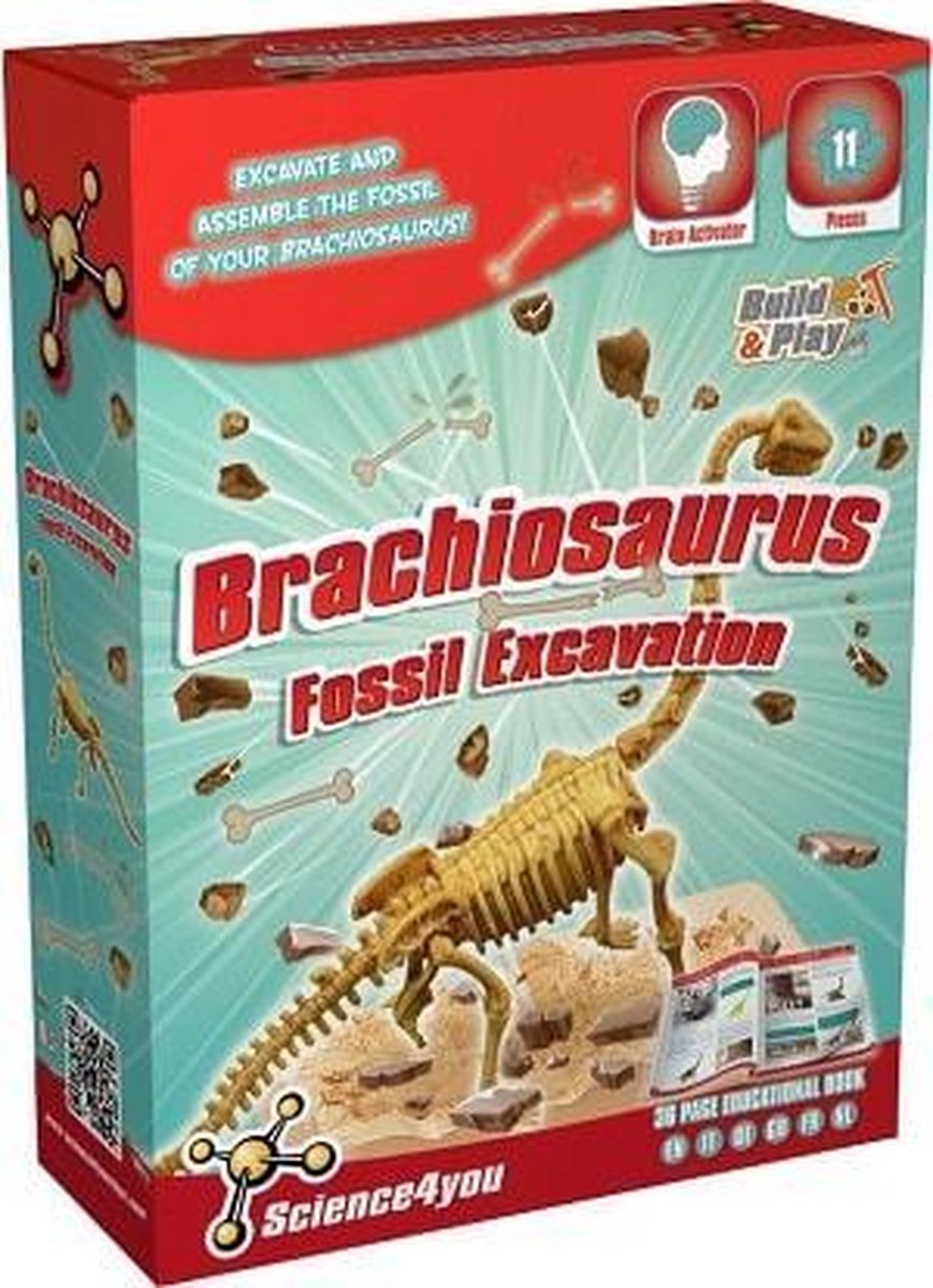 Science 4 You Brachiosaurus Palaeontologie Experimenteerset