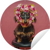 Affiche de jardin autour des Animaux et des Fleurs - Teckel sur tabouret avec couronne de fleurs Affiche de jardin - Affiche de jardin ronde 60x60 cm - Toile de jardin / Toile d'extérieur / Peintures pour l'extérieur (décoration de jardin)