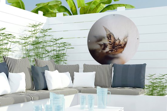 Tuincirkel Bergduivel op een vage achtergrond - 60x60 cm - Ronde Tuinposter - Buiten