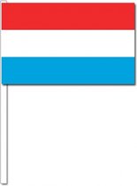 10 zwaaivlaggetjes Luxemburg 12 x 24 cm