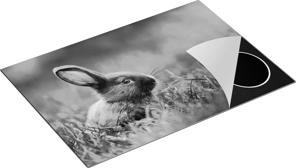 Chefcare Inductie Beschermer Konijn in het Gras - Zwart Wit - 75x55 cm - Afdekplaat Inductie - Kookplaat Beschermer - Inductie Mat