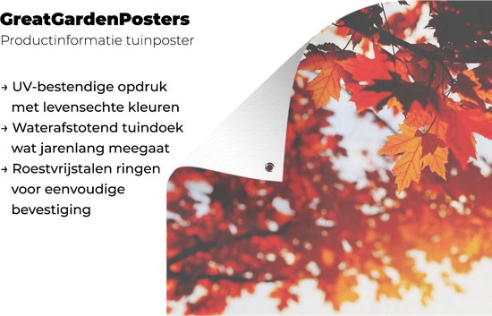 Affiche de jardin - Automne - Feuilles - Oranje - Branche - 50x50 cm - Peinture de jardin - Toile de clôture - Toile de jardin