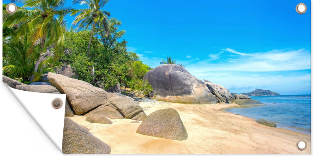 Tuinposter - Tuindoek - Tuinposters Buiten - Palmboom Op Het Strand De Kleine Knip Curacao 80x120 Cm Tuin