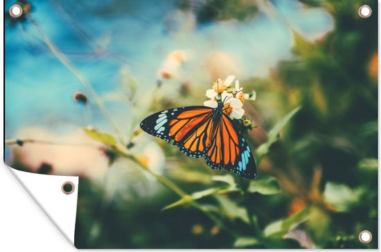 Affiche de jardin - Papillon - Fleurs - Wit - Soleil - Printemps - Toiles de jardin extérieur - 60x40 cm - Toile de jardin
