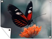 Tuinposter - Vlinder - Bloem - Natuur - Tuindoek - 40x30 cm - Tuinposter vlinder