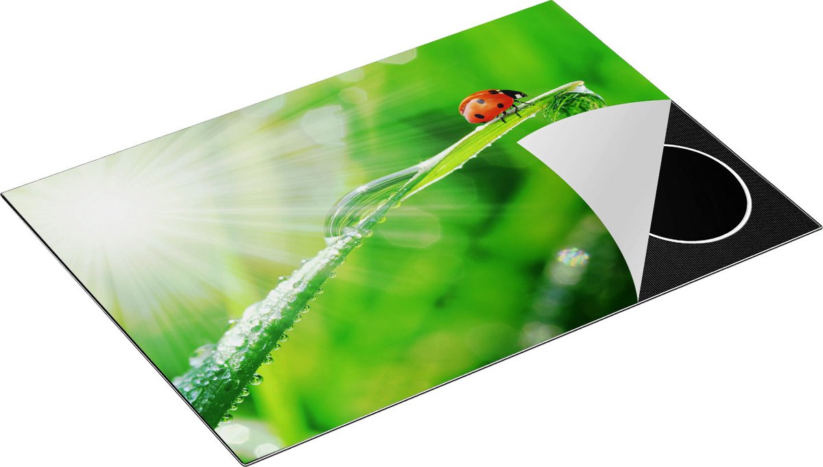 Chefcare Inductie Beschermer Lieveheersbeestje op een Grasspriet - 77x51 cm - Afdekplaat Inductie - Kookplaat Beschermer - Inductie Mat