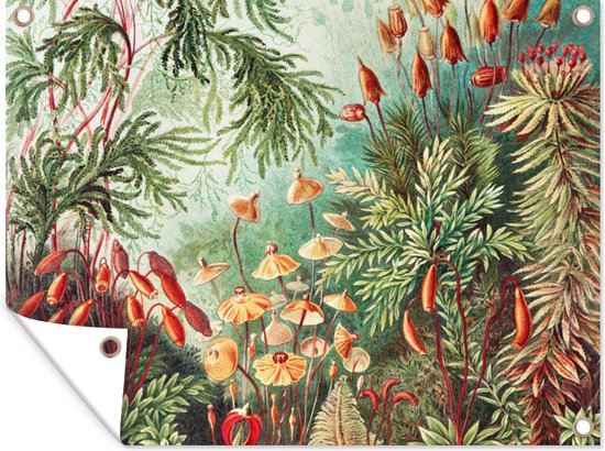 Tuin - Tuinposter - Bloemen - Kunst - Vintage - Planten - Ernst Haeckel - 120x90 cm - Muurdecoratie - Tuinschilderij - Tuindoek - Buitenposter