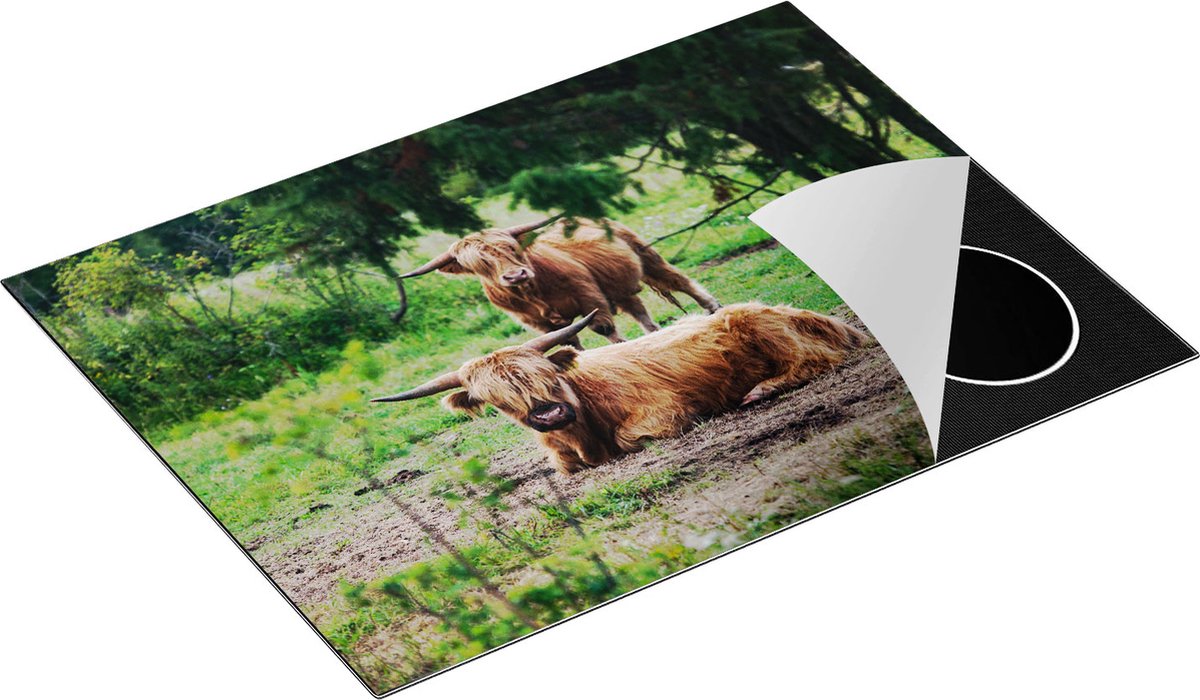 Chefcare Inductie Beschermer Twee Schotse Hooglanders in de Bossen - 71x52 cm - Afdekplaat Inductie - Kookplaat Beschermer - Inductie Mat