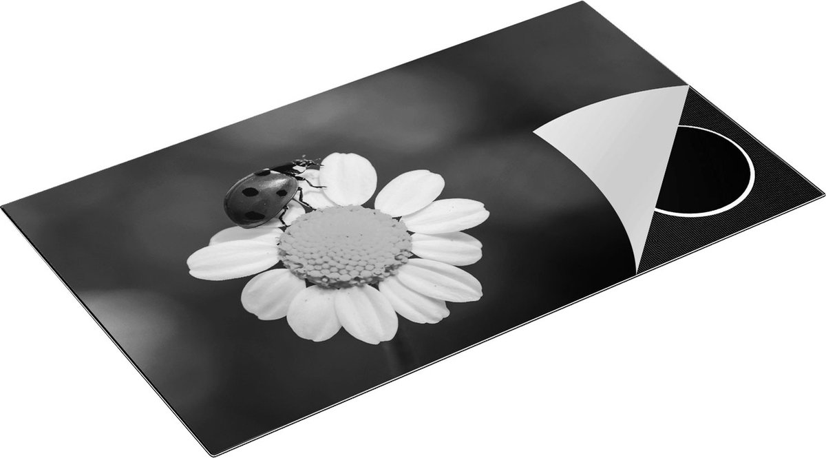 Chefcare Inductie Beschermer Lieveheersbeestje op een Madeliefje - Zwart Wit - 91,2x52 cm - Afdekplaat Inductie - Kookplaat Beschermer - Inductie Mat