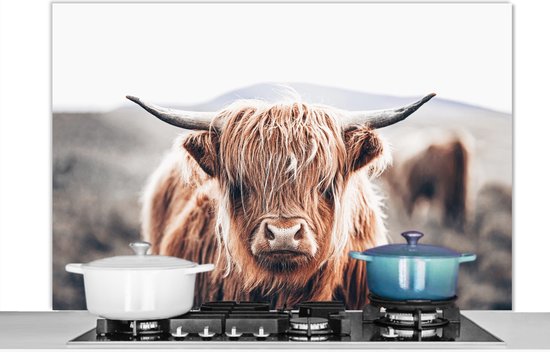 Spatscherm - Schotse Hooglander - Dieren - Koe - Natuur - Spatwand - Muurbeschermer - Achterwand keuken - Keuken - 120x80 cm - Spatscherm keuken