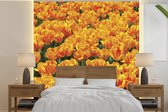 Behang - Fotobehang Oranje tulpenveld - Breedte 350 cm x hoogte 350 cm