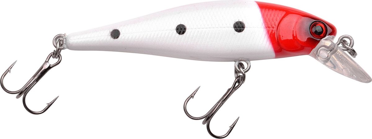 Minnow 65